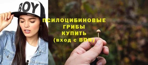 прущая мука Арсеньев