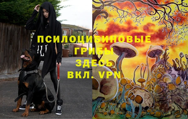 прущая мука Арсеньев